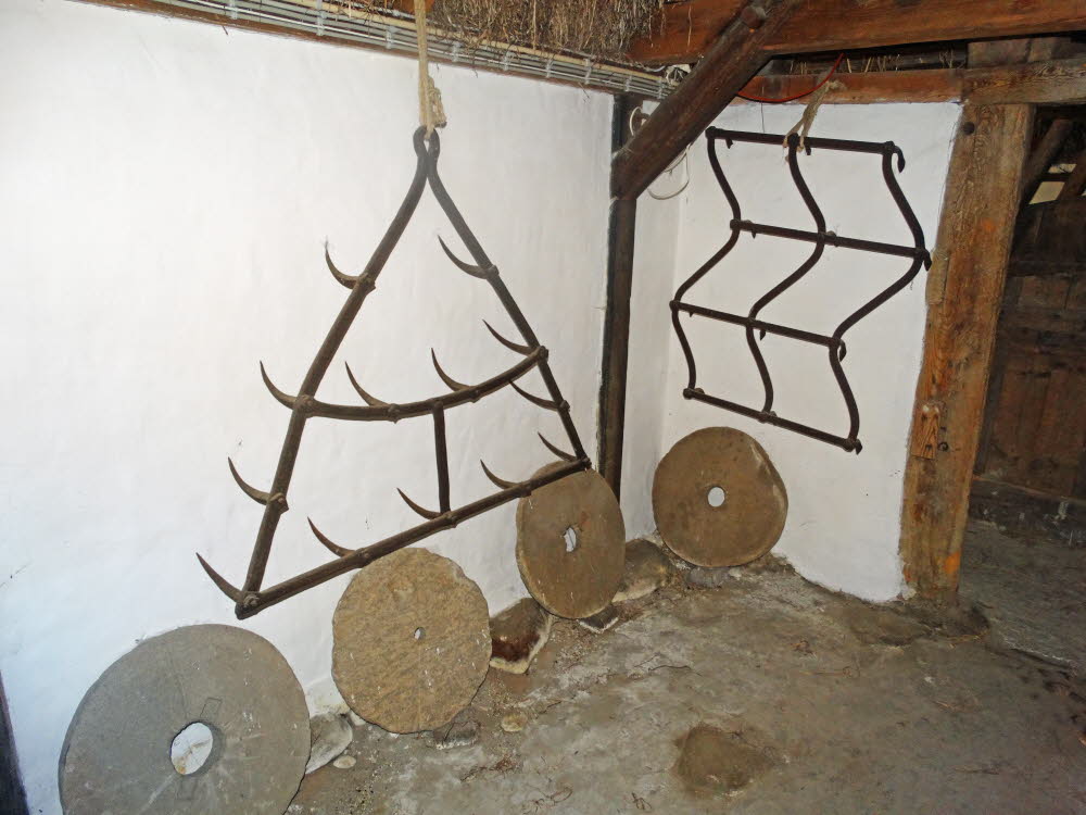 Laesoe Museumsgarden Bild 10