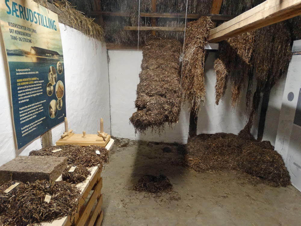 Laesoe Museumsgarden Bild 11