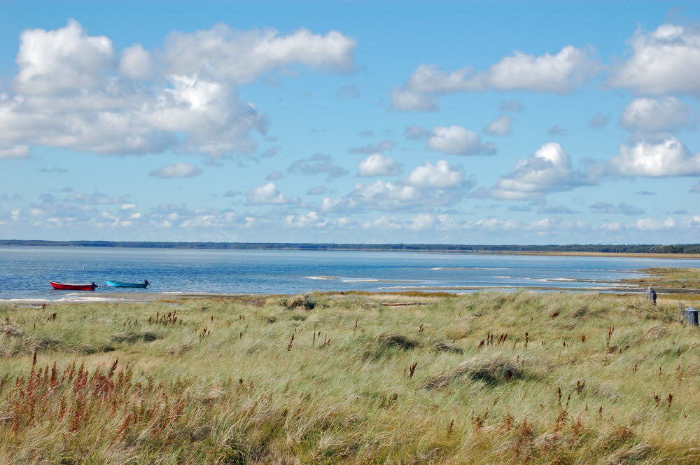 Strand Bloden Hale Bild 01