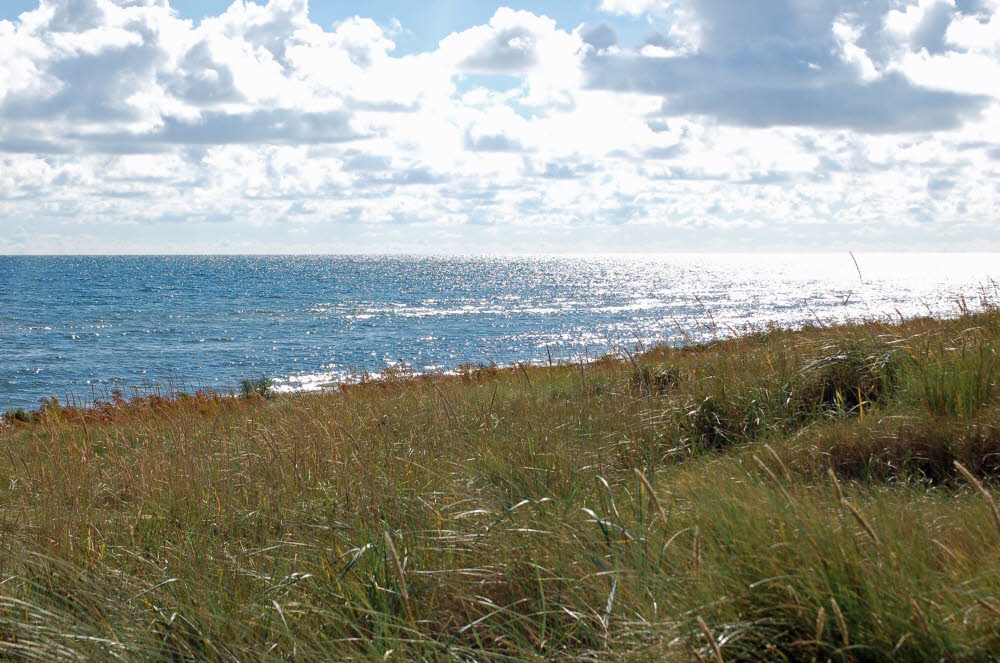 Strand Bloden Hale Bild 03