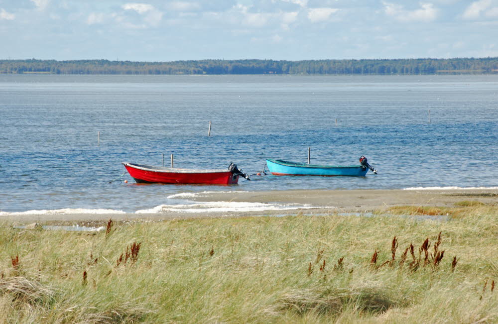 Strand Bloden Hale Bild 04