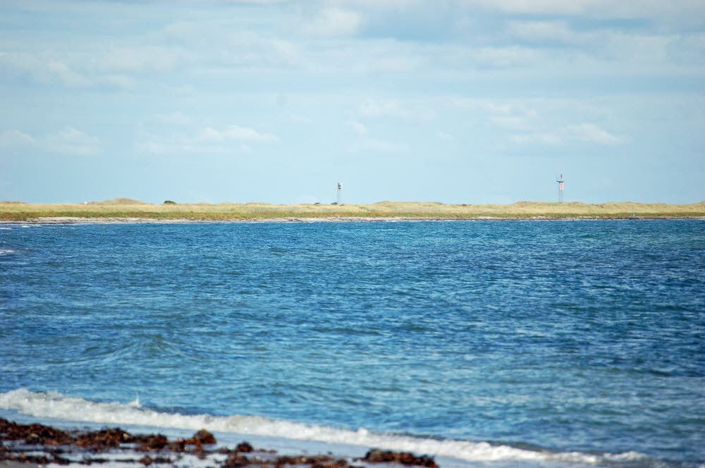 Strand Bloden Hale Bild 08