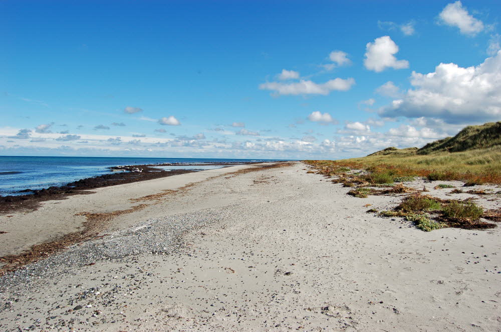 Strand Bloden Hale Bild 09