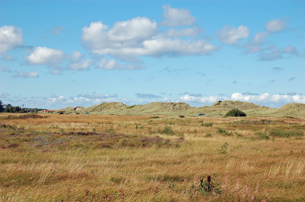 Strand Danzigman Bild 001