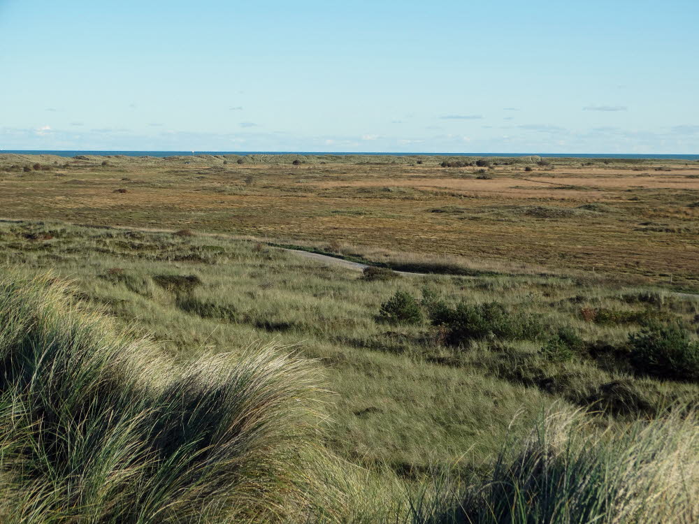 Strand Danzigman Bild 01