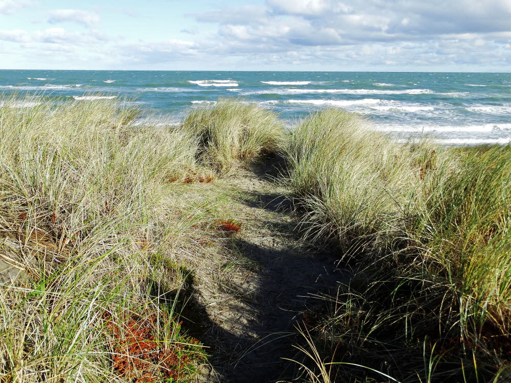 Strand Danzigman Bild 02
