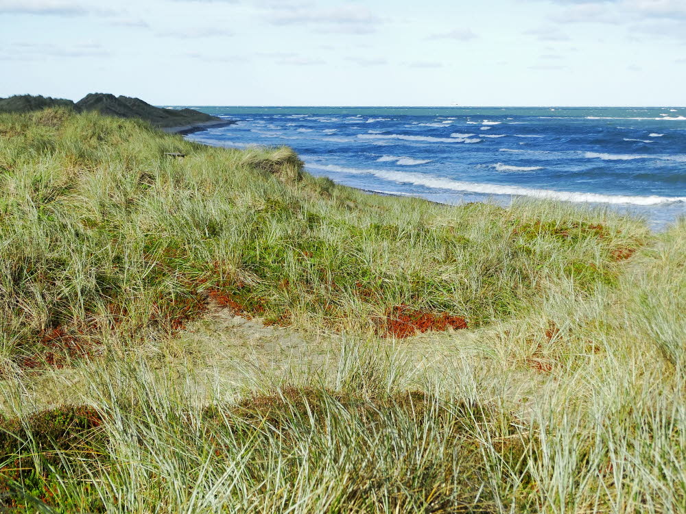 Strand Danzigman Bild 03