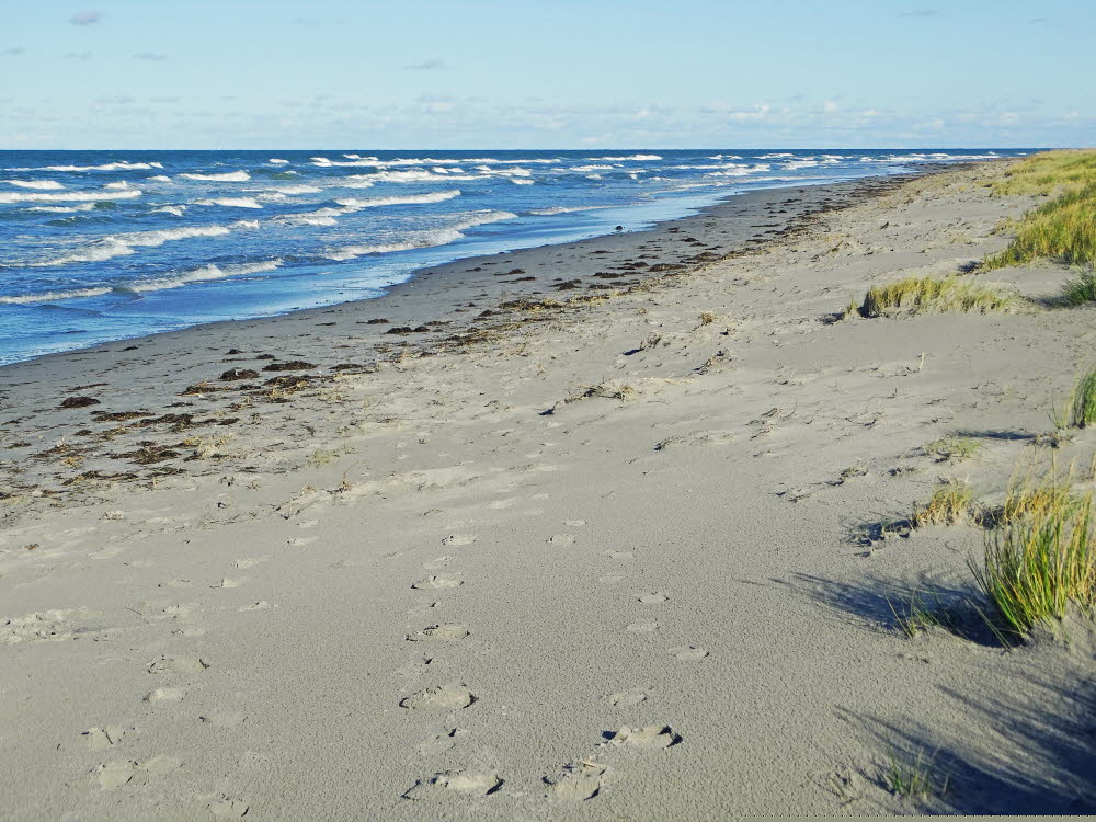 Strand Danzigman Bild 04