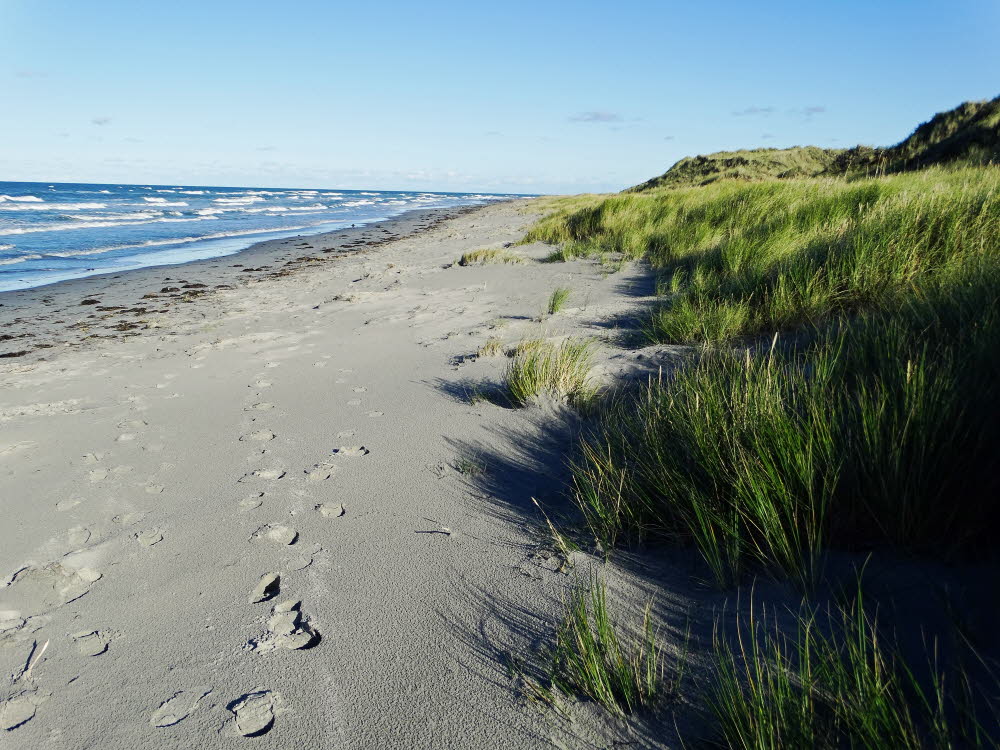 Strand Danzigman Bild 05