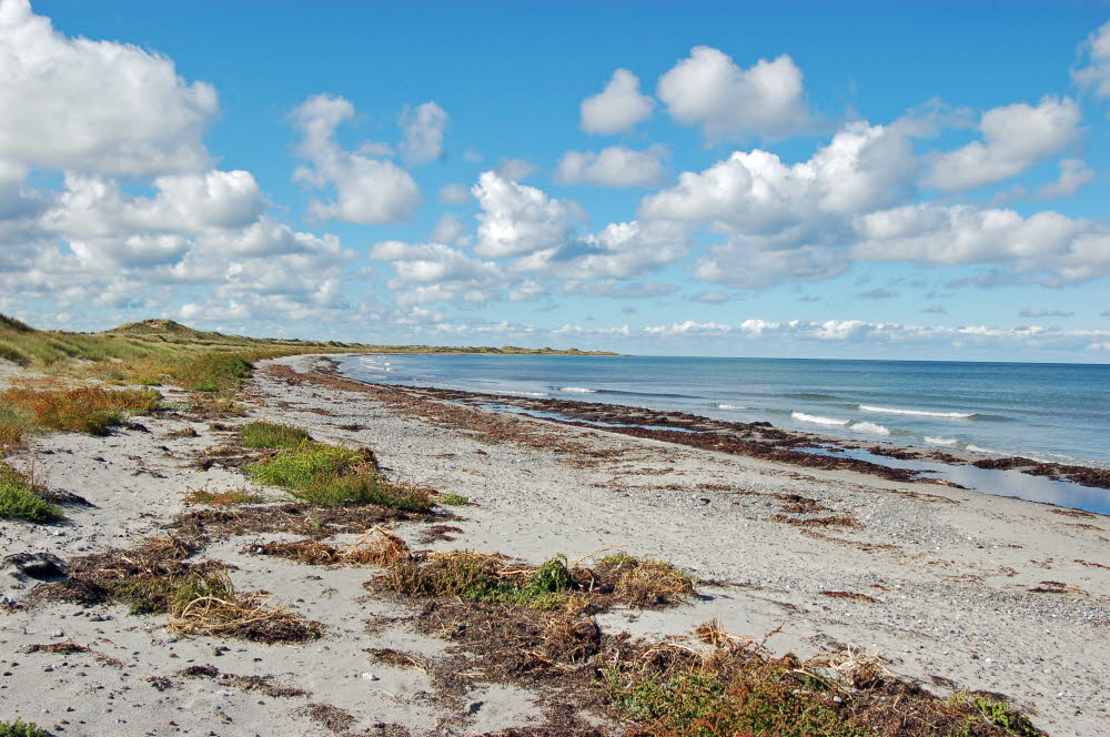 Strand Danzigman Bild 07