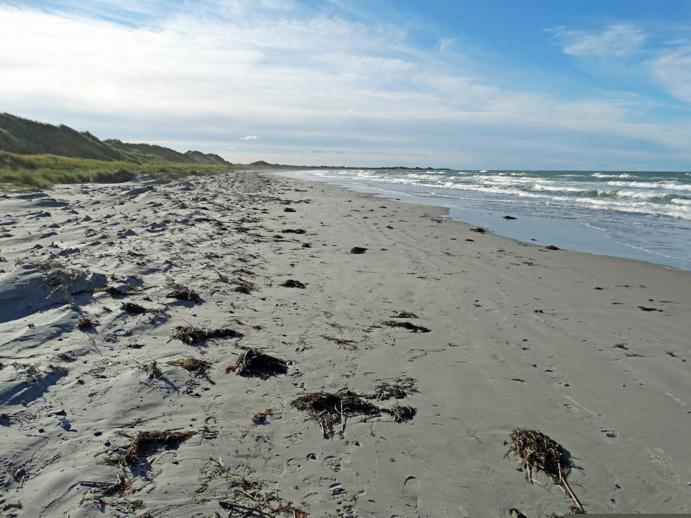 Strand Danzigman Bild 09