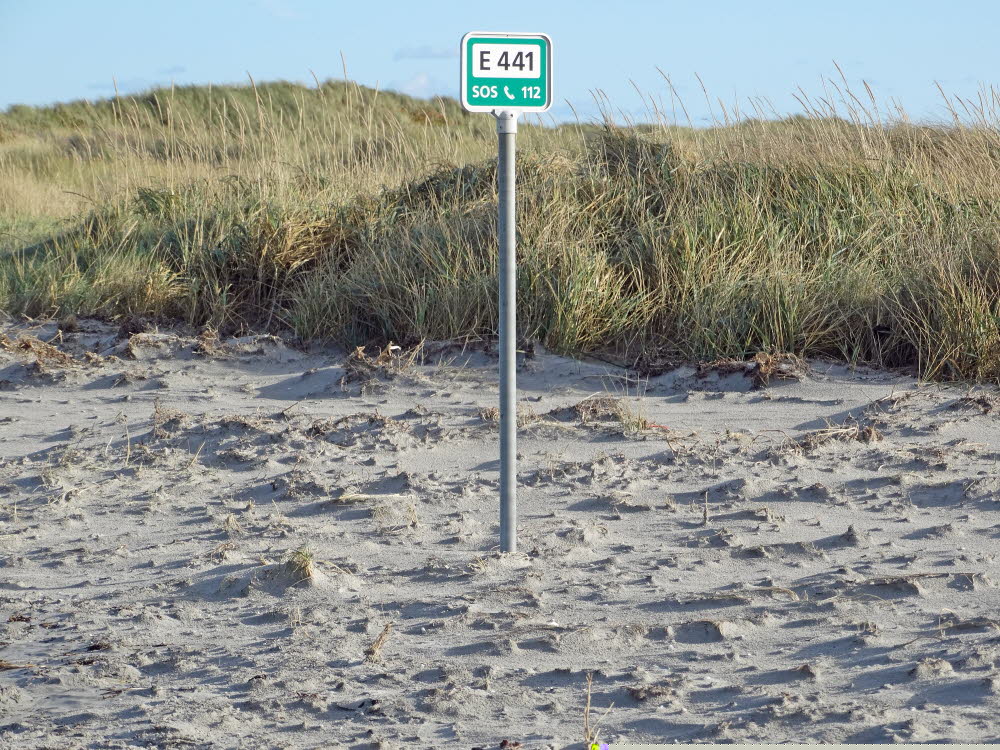 Strand Danzigman Bild 10