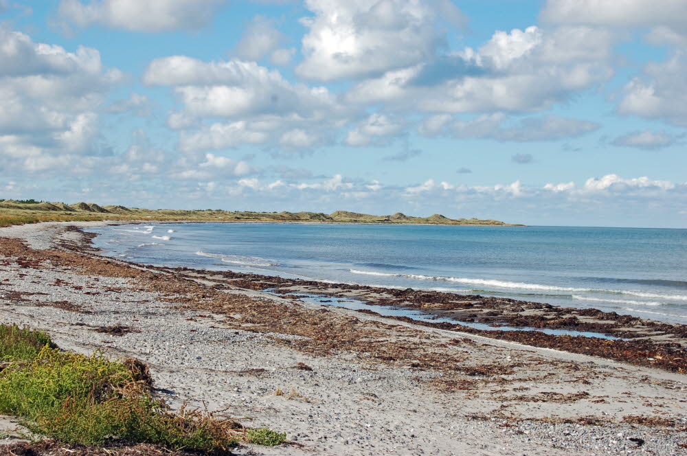 Strand Danzigman Bild 14,1