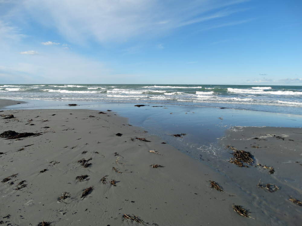 Strand Danzigman Bild 14