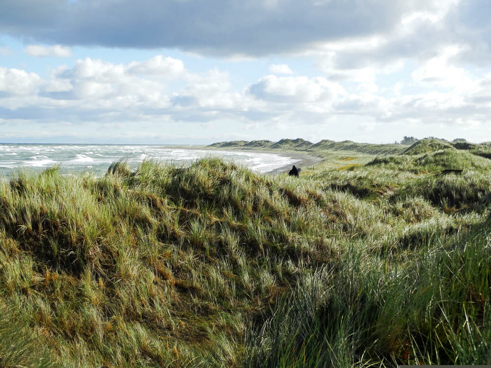 Strand Danzigman Bild 18