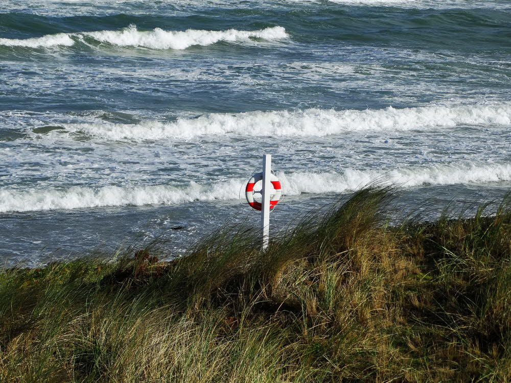 Strand Danzigman Bild 19