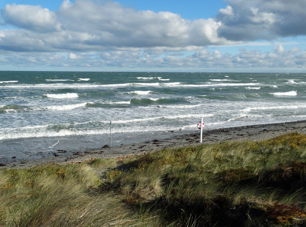 Strand Danzigman Bild 20