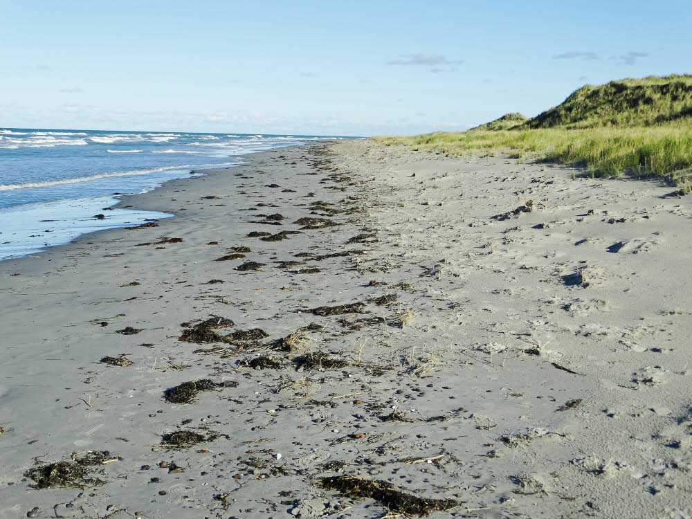 Strand Danzigman Bild 21