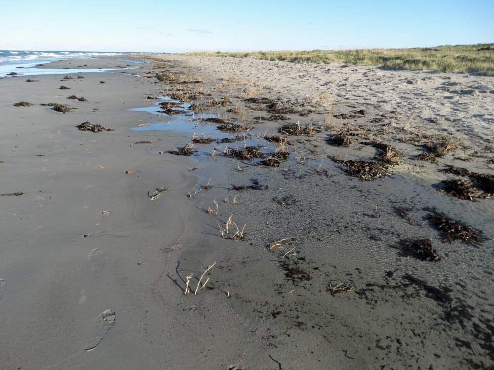 Strand Danzigman Bild 23