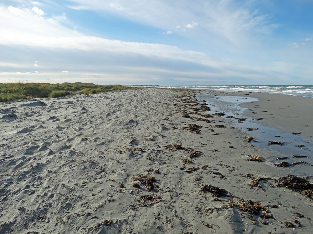 Strand Danzigman Bild 25