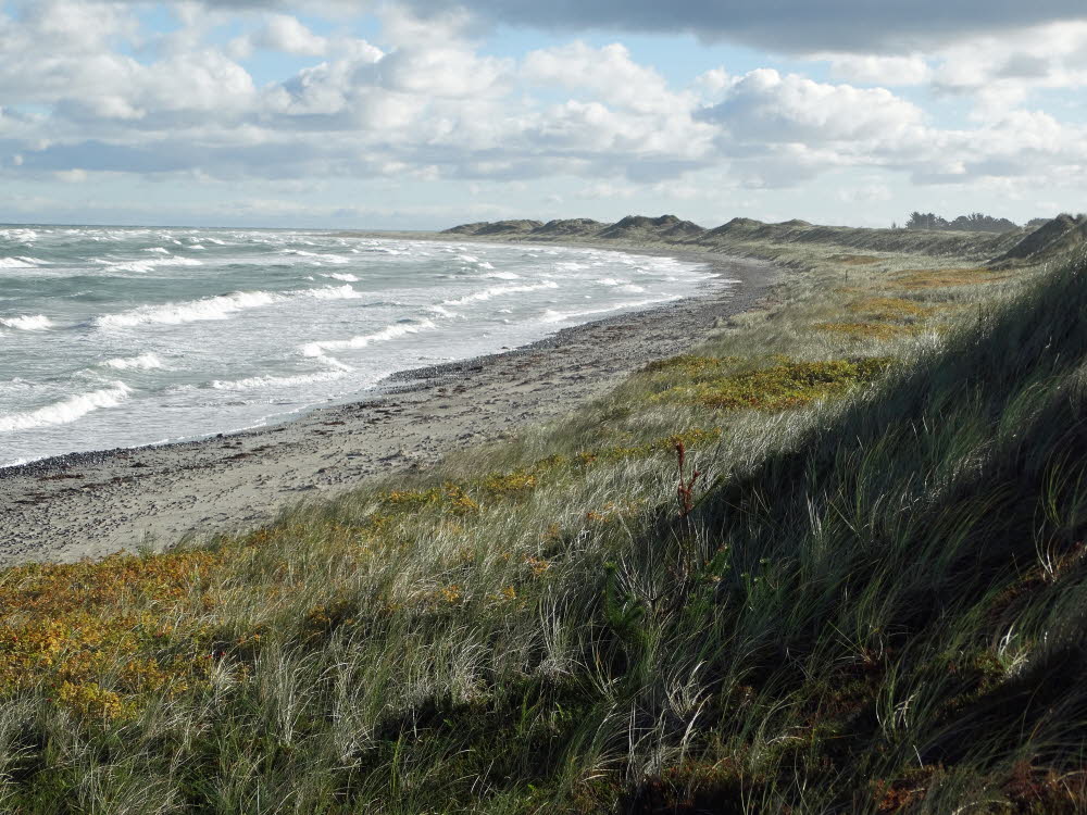 Strand Danzigman Bild 28