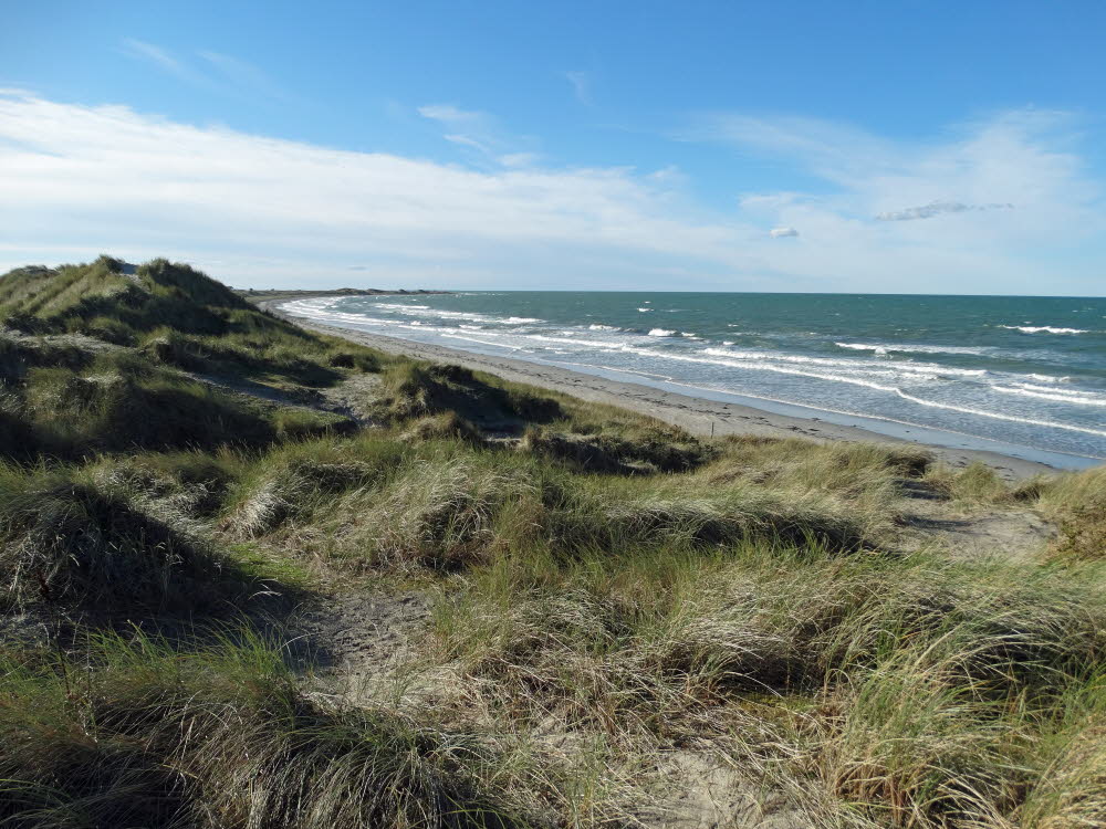 Strand Danzigman Bild 29