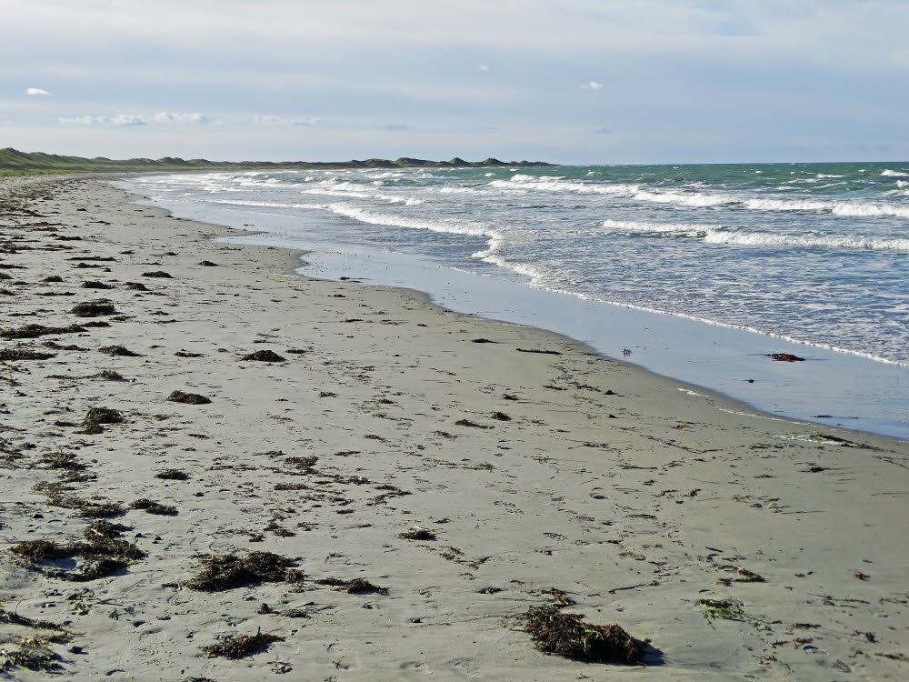 Strand Danzigman Bild 30