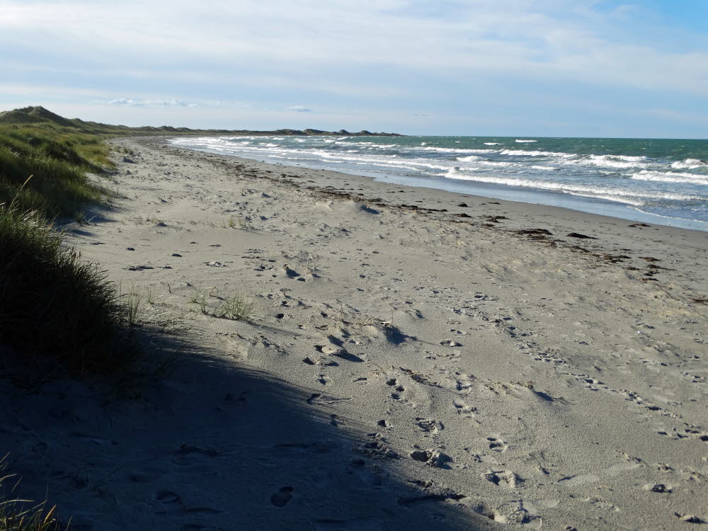 Strand Danzigman Bild 32