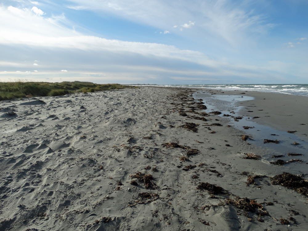 Strand Danzigman Bild 33