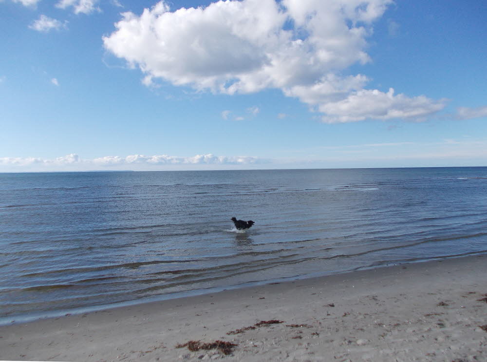 Vesteroe Strand Bild 08