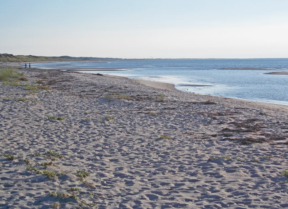 Vesteroe Strand Bild 13