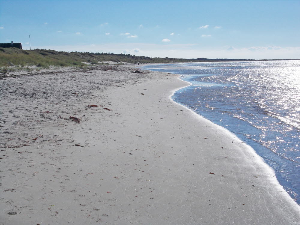 Vesteroe Strand Bild 18