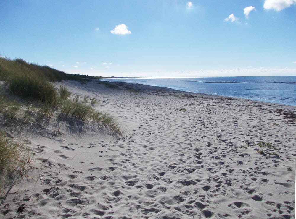 Vesteroe Strand Bild 22