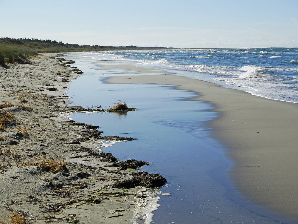 Vesteroe Strand Bild 28