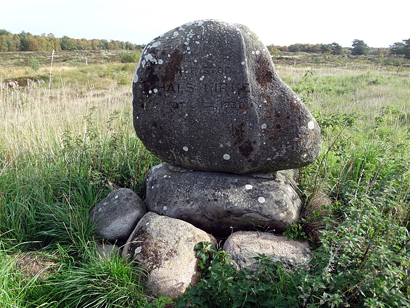 hals kirche ruine laesoe bild 01