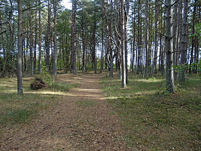 hals kirche ruine laesoe bild 05