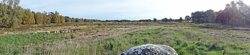hals kirche ruine laesoe bild 09