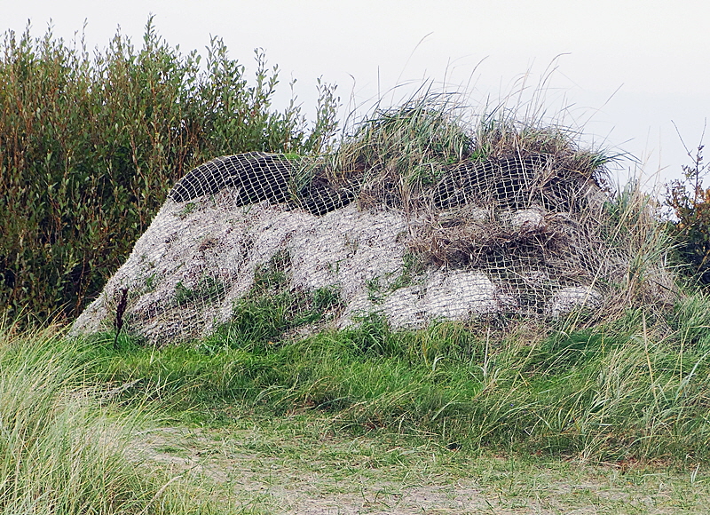 hummerhuetten laesoe bild 07 hummerhuetten laesoe bild 07