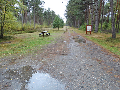 laesoe stein bild 02 laesoe stein bild 02