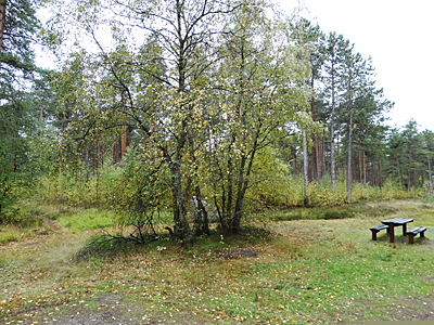 laesoe stein bild 03 laesoe stein bild 03