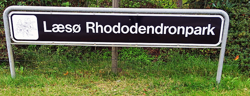 rhododendron park laesoe bild 04