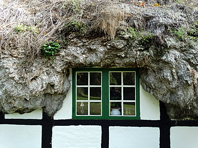 tangdach laesoe bild 07 tangdach laesoe bild 07