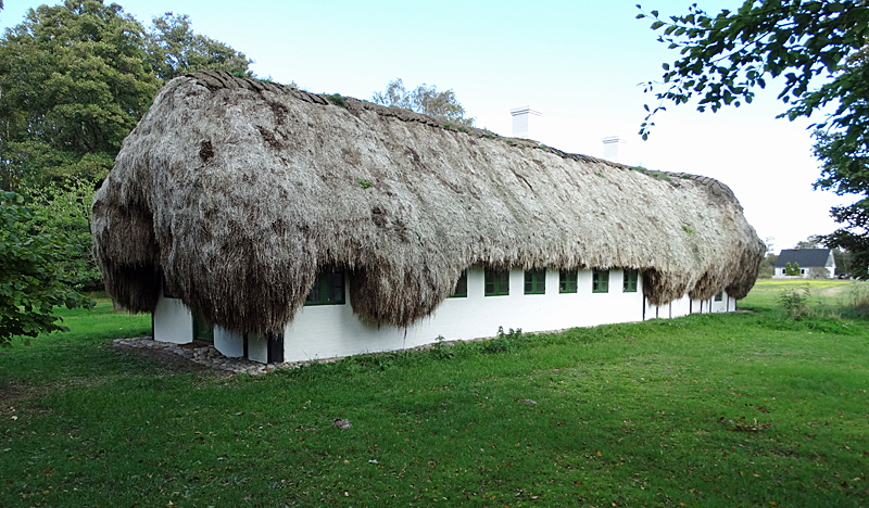 tangdach laesoe bild 08 tangdach laesoe bild 08