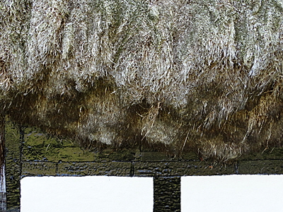 tangdach laesoe bild 09 tangdach laesoe bild 09